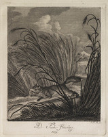 KG 01077
          <br/>
          Entwurf einiger Thiere. Fünfter Theil. (18 bladen)
          <br/>
          <em>Ridinger, Johann Elias (1698-1767)</em>